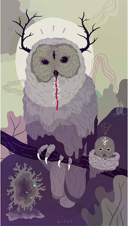 Owl