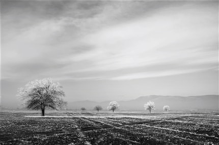 Age of Winter — print de artă de Dragos Malaescu, alb-negru, fotografie