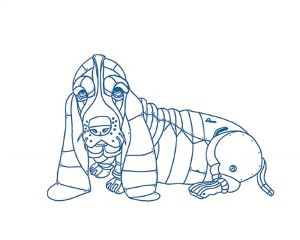 Basset Hound — print de artă de Ghica Popa, animale, de colecție