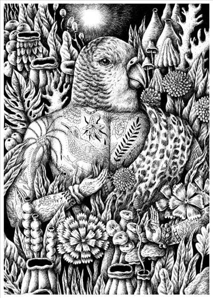 Bird King — signed fine art print by SADDO, abstract, animals