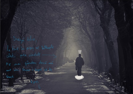 Dear Alice — print de artă de Bucuresti Optimixed, de colecție, dreamy