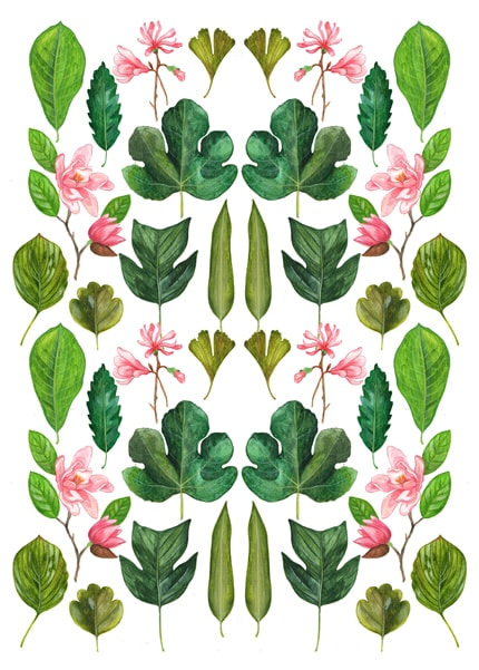 Magnolia — print de artă de Carine Arnakis, model
